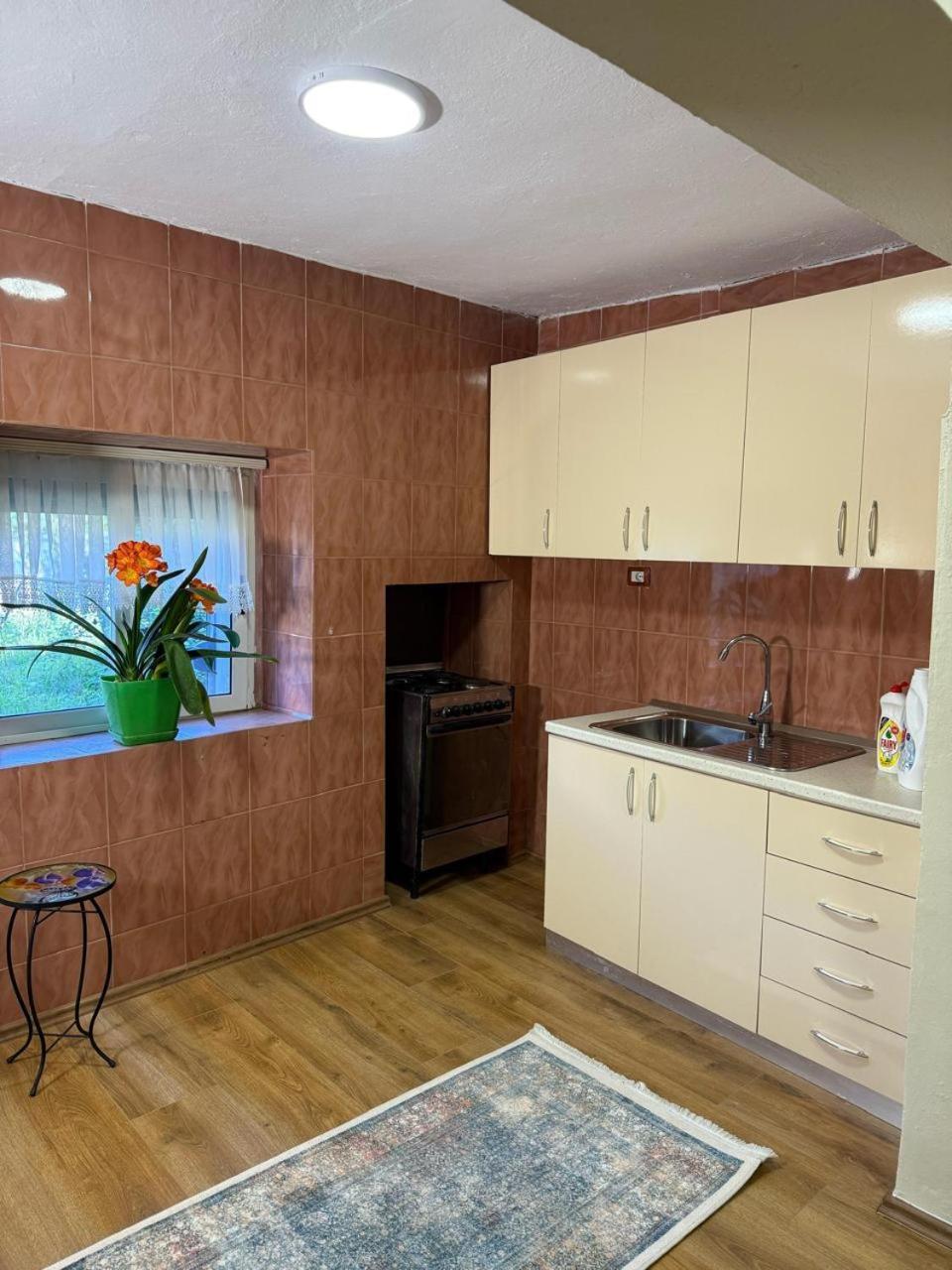 Shkodra Guest House & Trips Zewnętrze zdjęcie